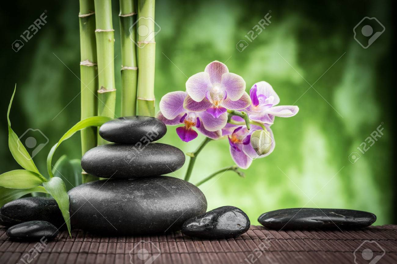 Orchid Zen Wallpapers Top Free Orchid Zen Backgrounds WallpaperAccess