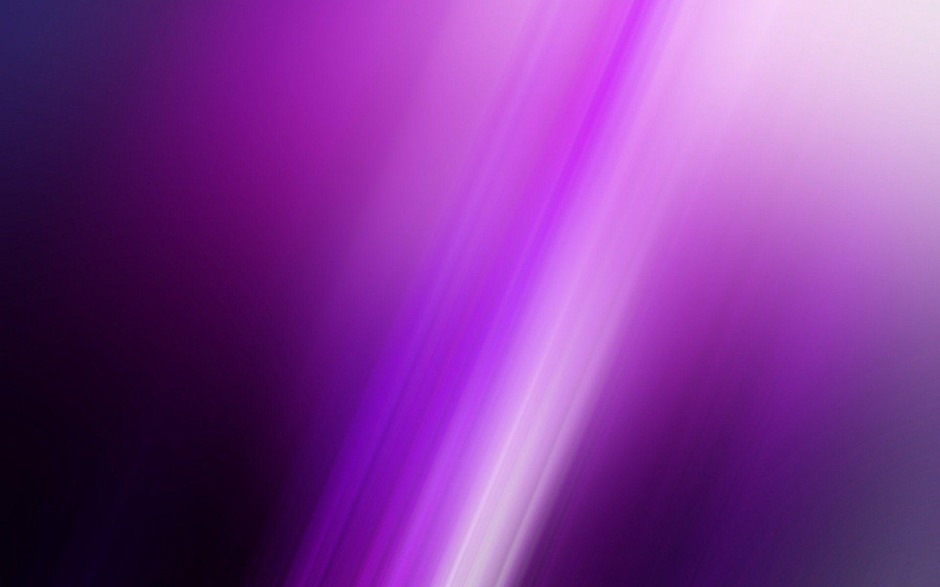 1920x1200 Free photo: Purple and white, Flowers, Purple