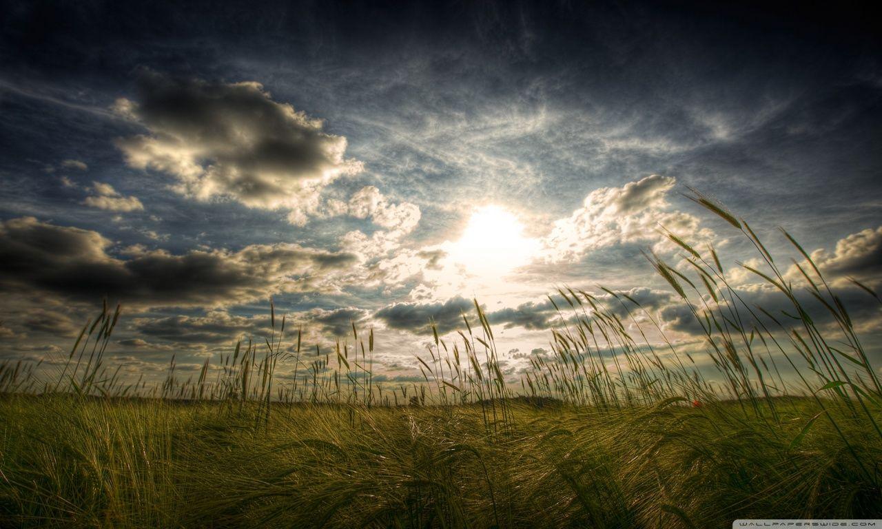 1280x768 Peaceful Wallpaper HD Group Wallpaper