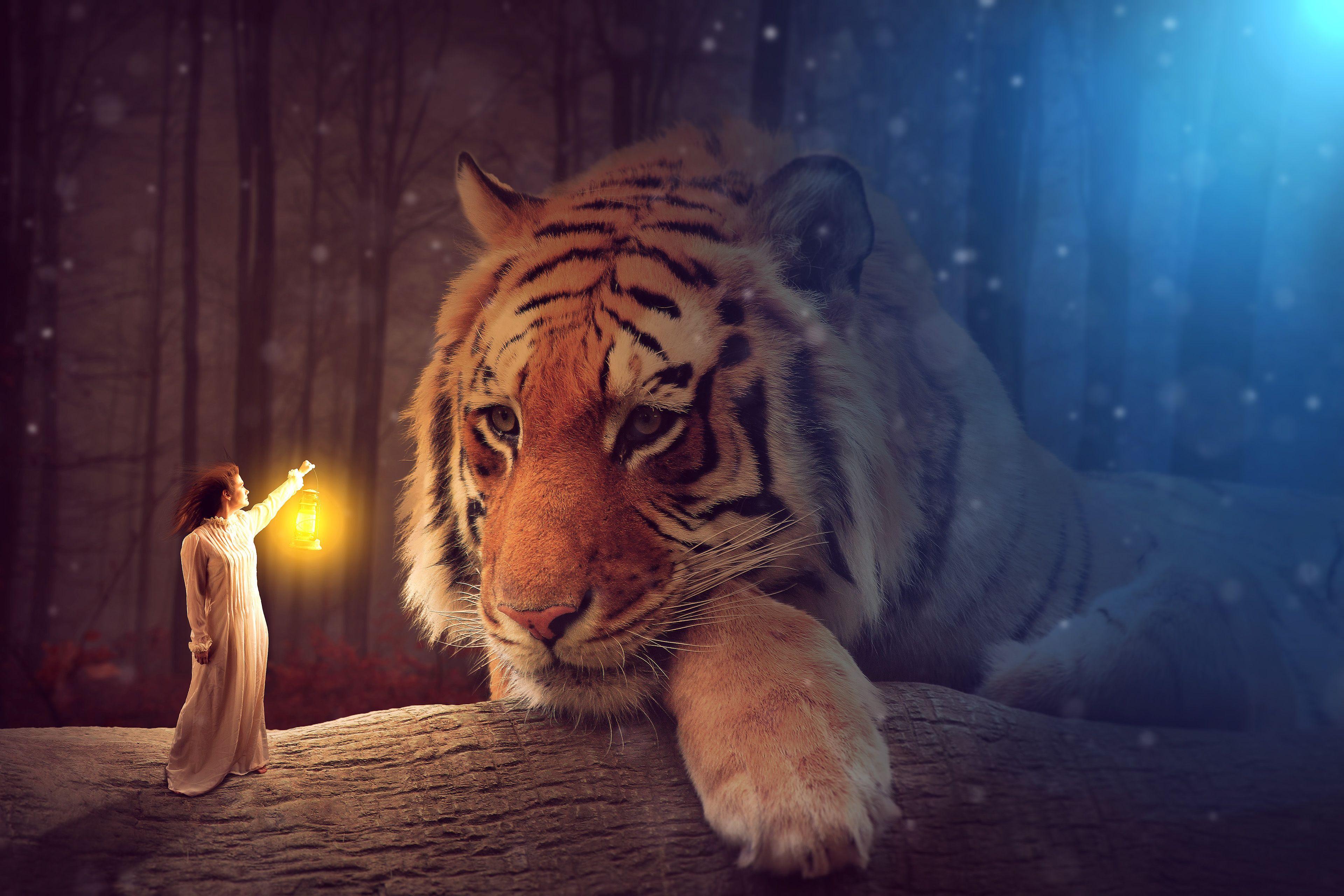 3840x2560 Big tiger HD wallpaper,
