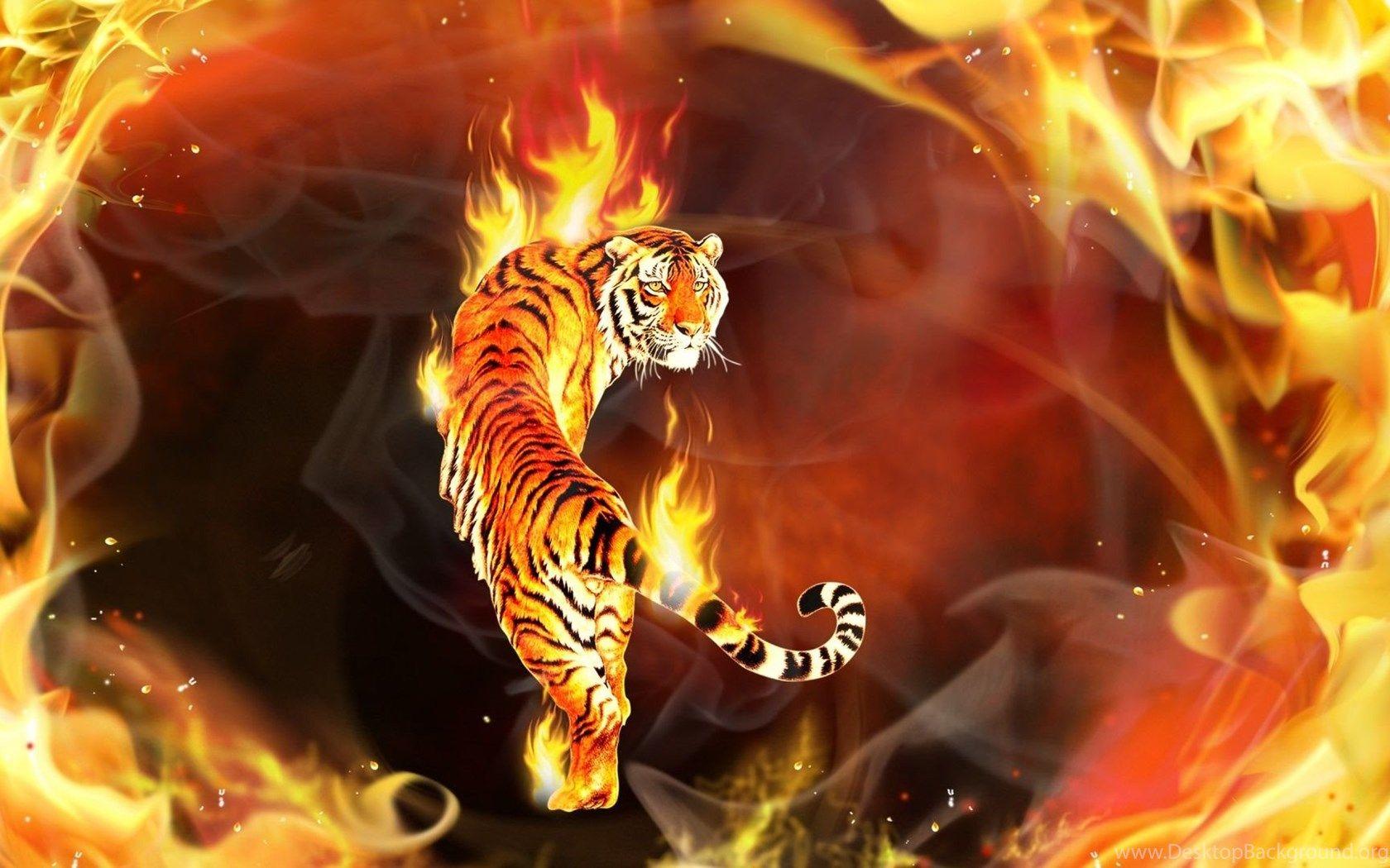 1680x1050 Big Tiger Wallpaper Desktop