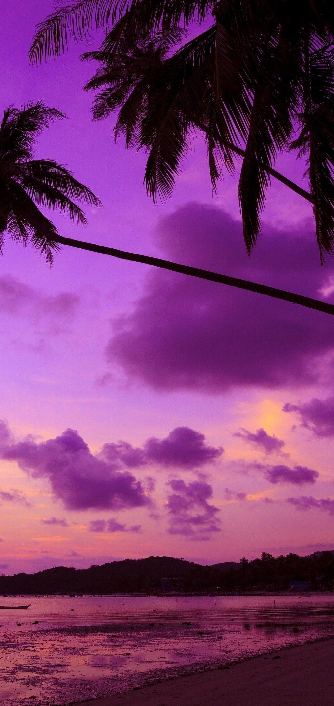 1080x2280 Purple Palm Trees Wallpaper in .