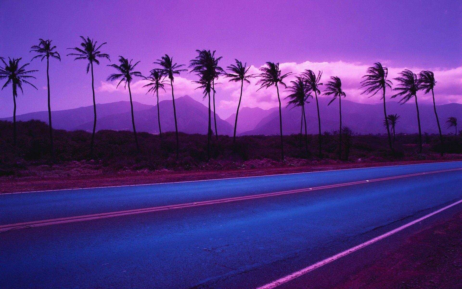 1920x1200 Free download Purple Palm Trees Wallpaper Purple Palm Trees Myspace Background [1920x1200] for your Desktop, Mobile & Tablet. Explore Palm Tree Wallpaper Desktop. Palm Tree Wallpaper, Palm Tree Beaches
