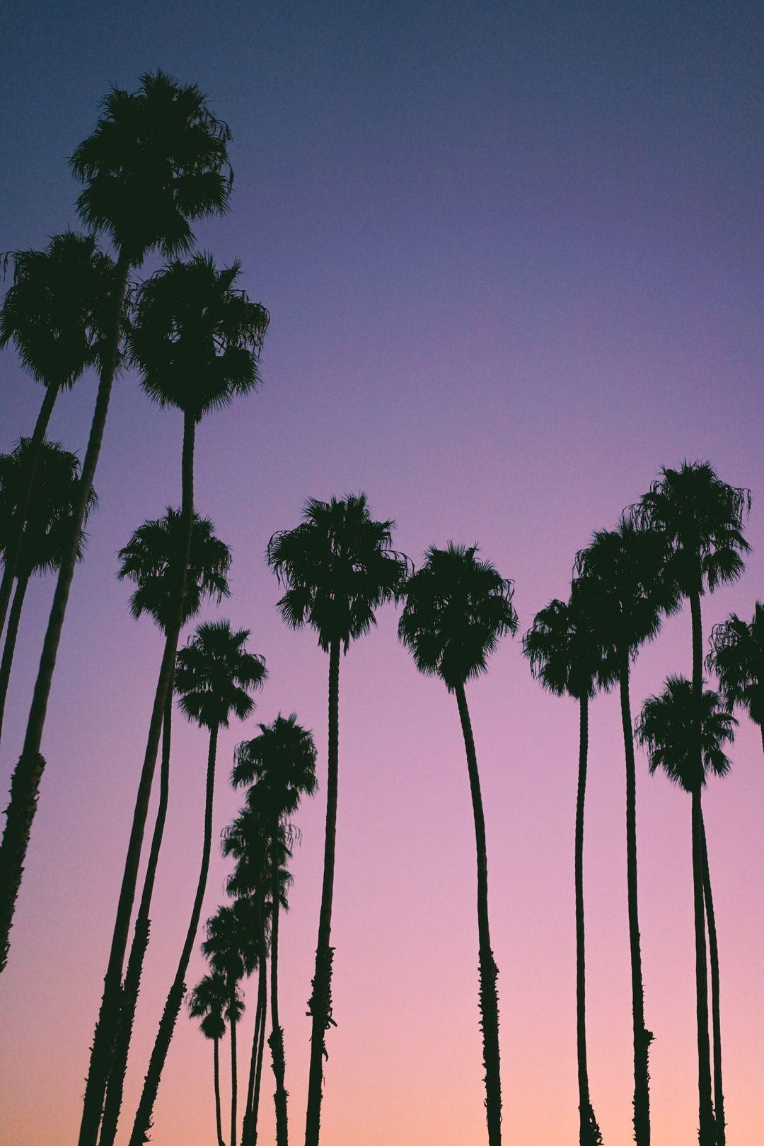 1080x1620 Sunset iphone wallpaper .com