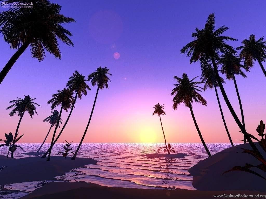 Purple Palm Tree Wallpapers - Top Free Purple Palm Tree Backgrounds ...