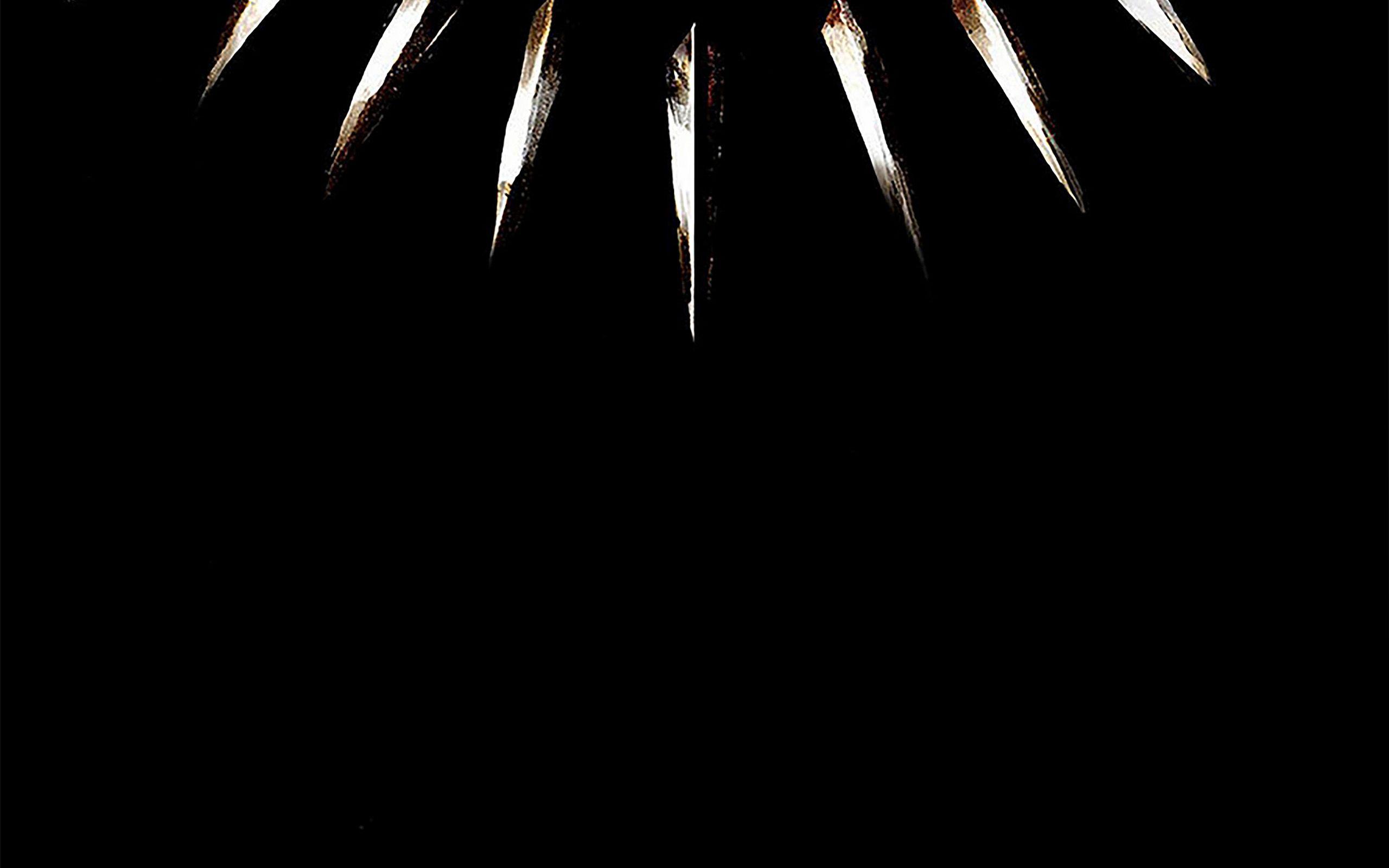 2560x1600 Minimal Simple Black Panther .