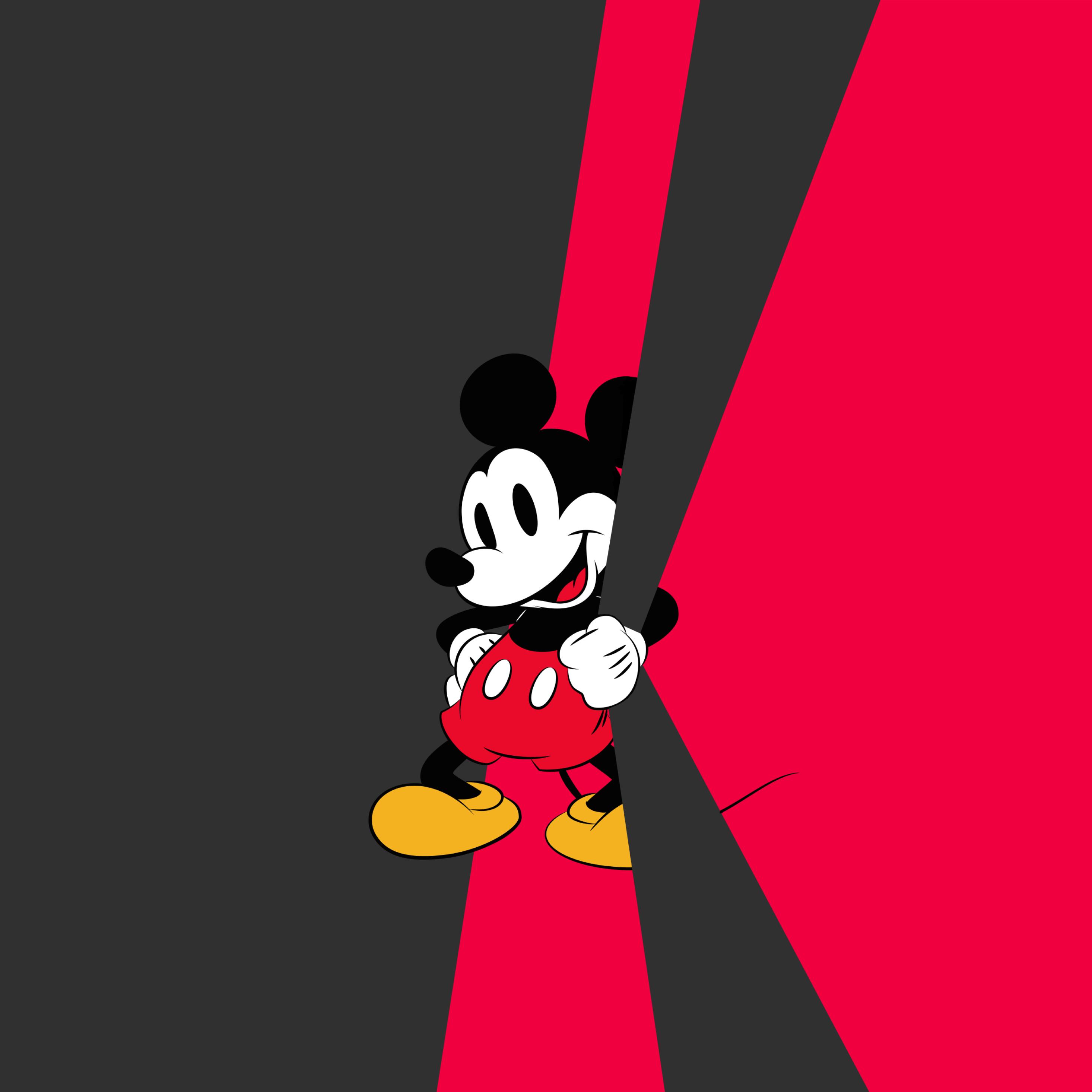 2932x2932 Mickey Mouse iPad Pro Retina Display .