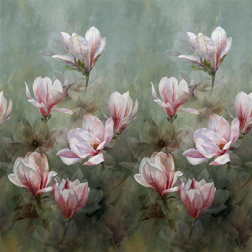 Sweet Magnolias Wallpapers - Top Free Sweet Magnolias Backgrounds