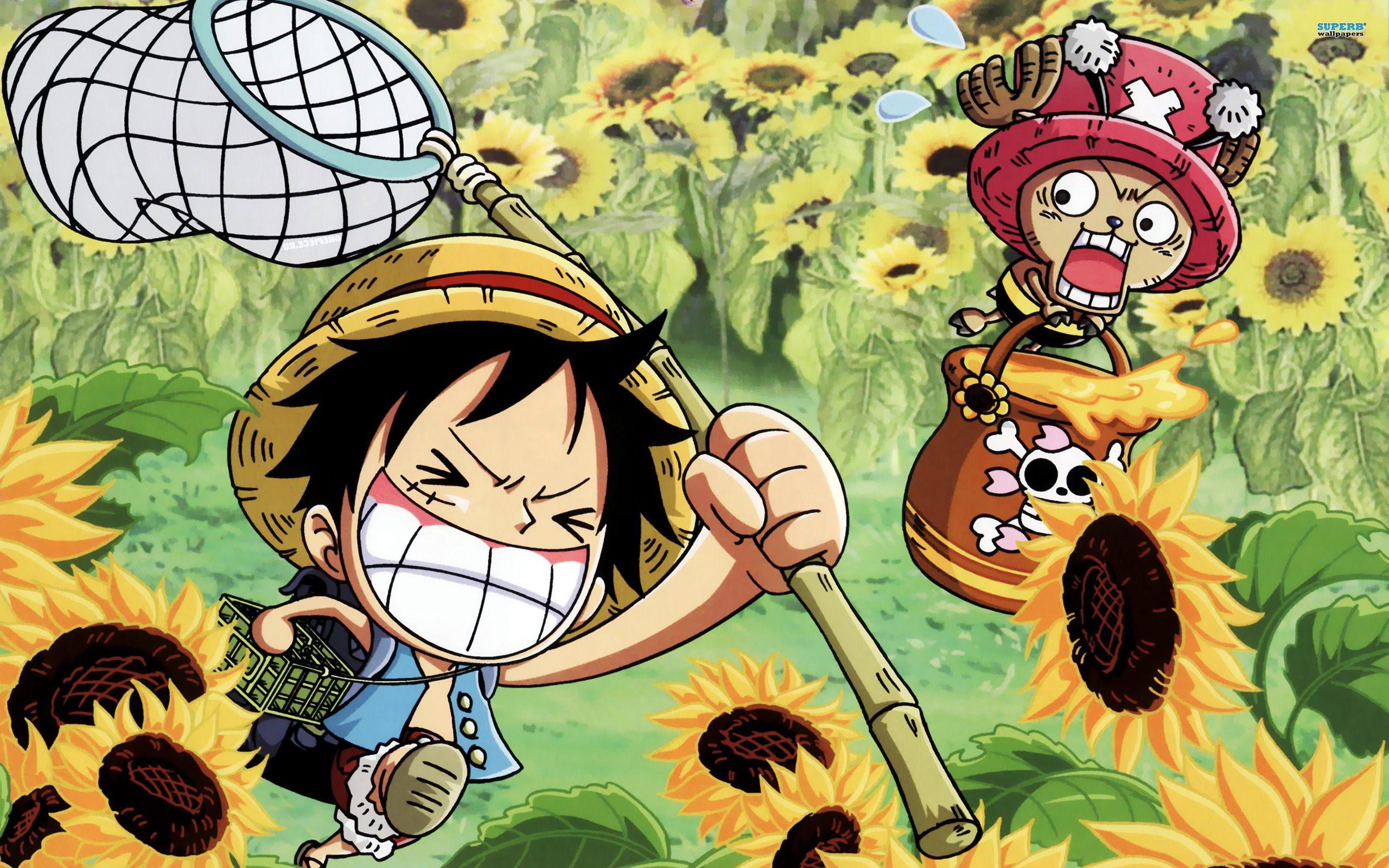 2560x1600 One Piece Background Desktop .