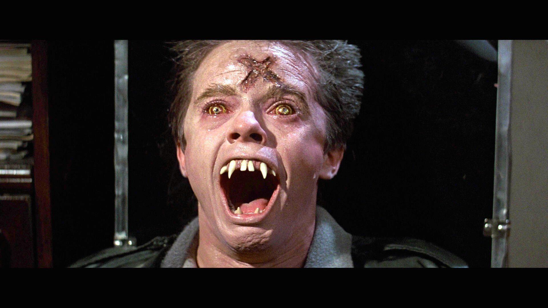 1920x1080 fright, Night, Comedy, Horror, Dark .