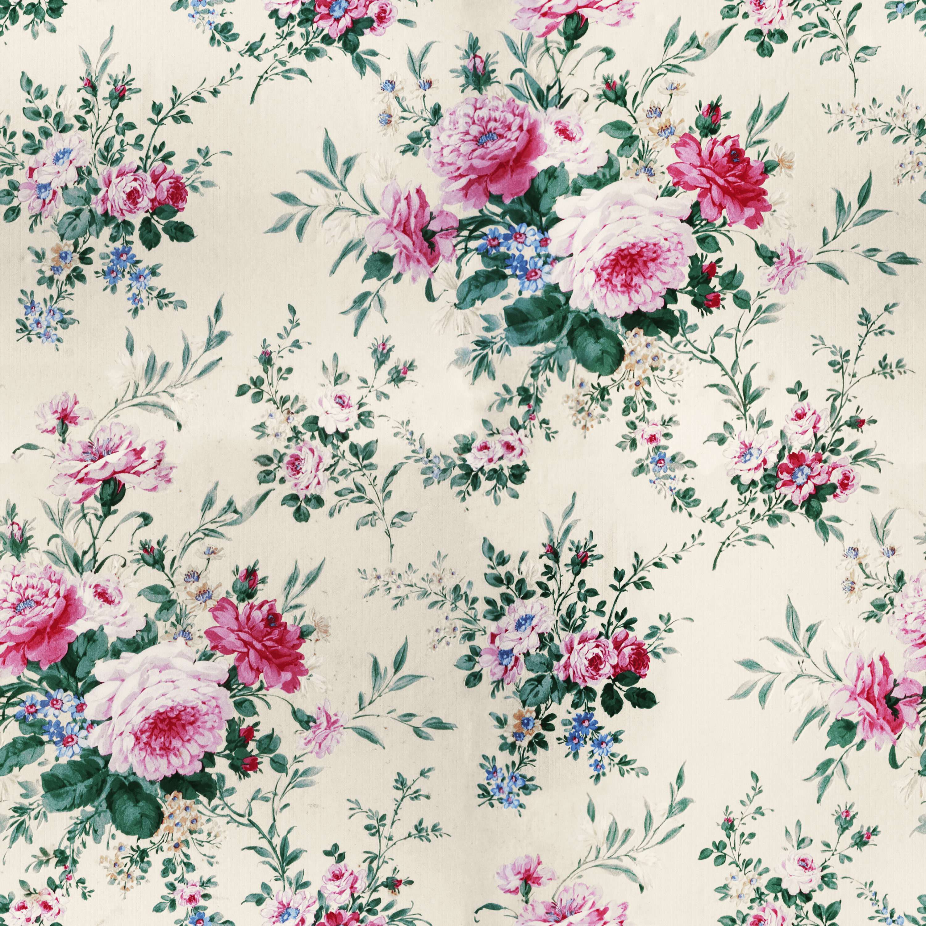 3000x3000 Flower Wallpaper Wallpaper .