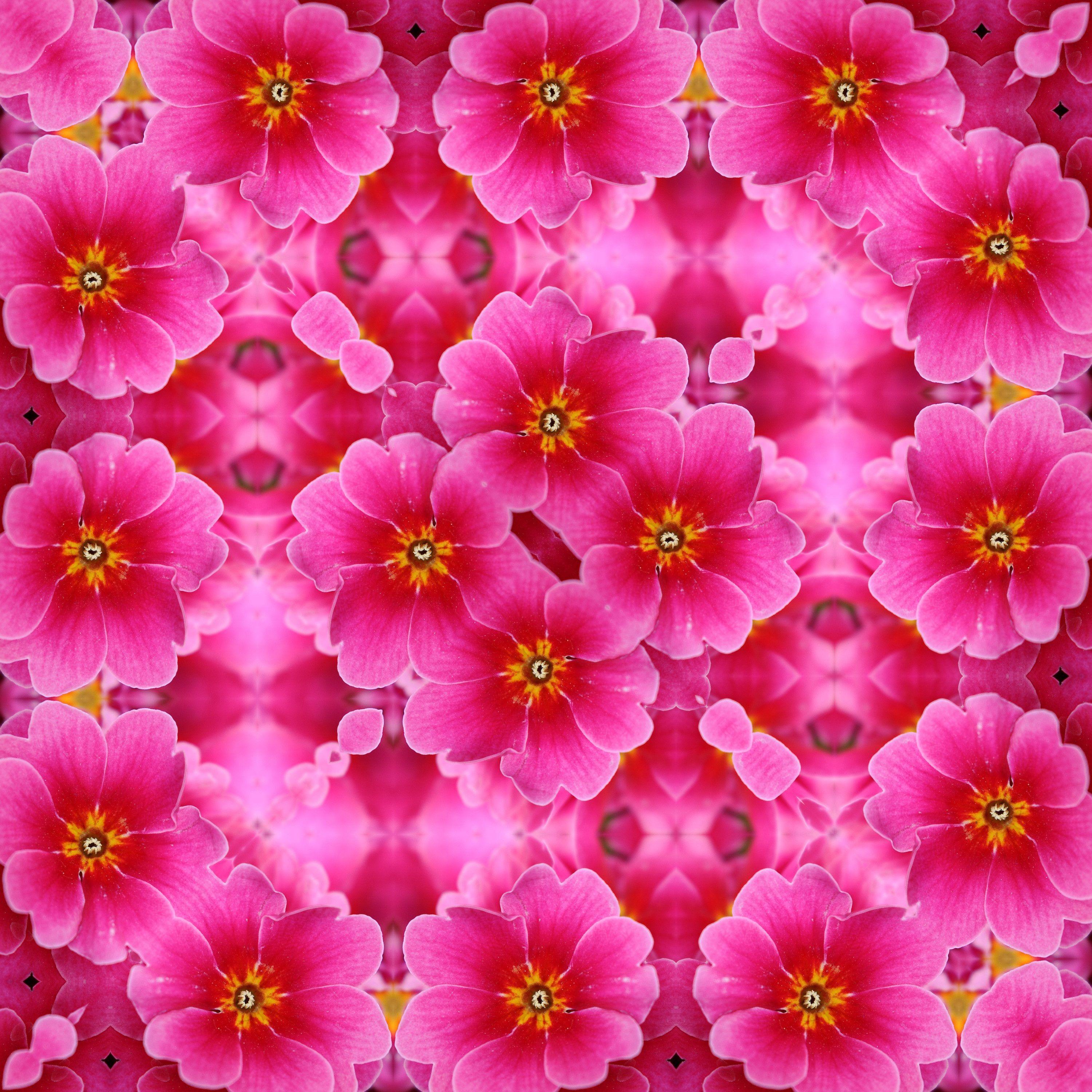 3000x3000 Background with seamless pink flowers .