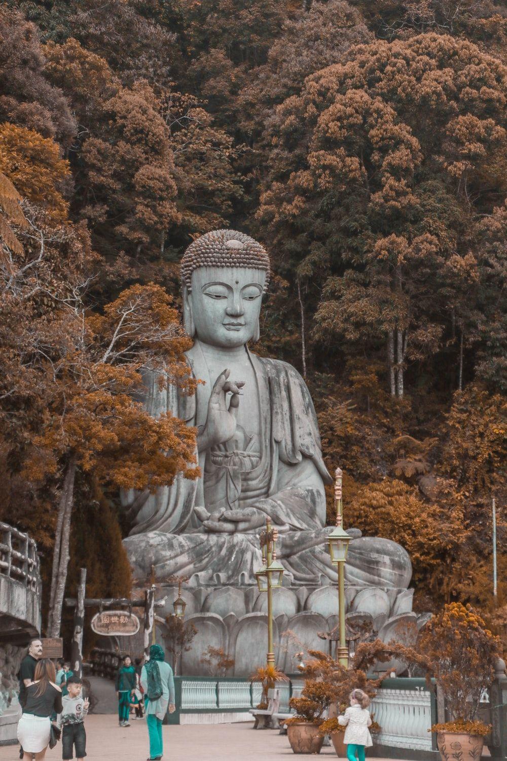 1000x1500 Buddha Picture & Image HQ .com