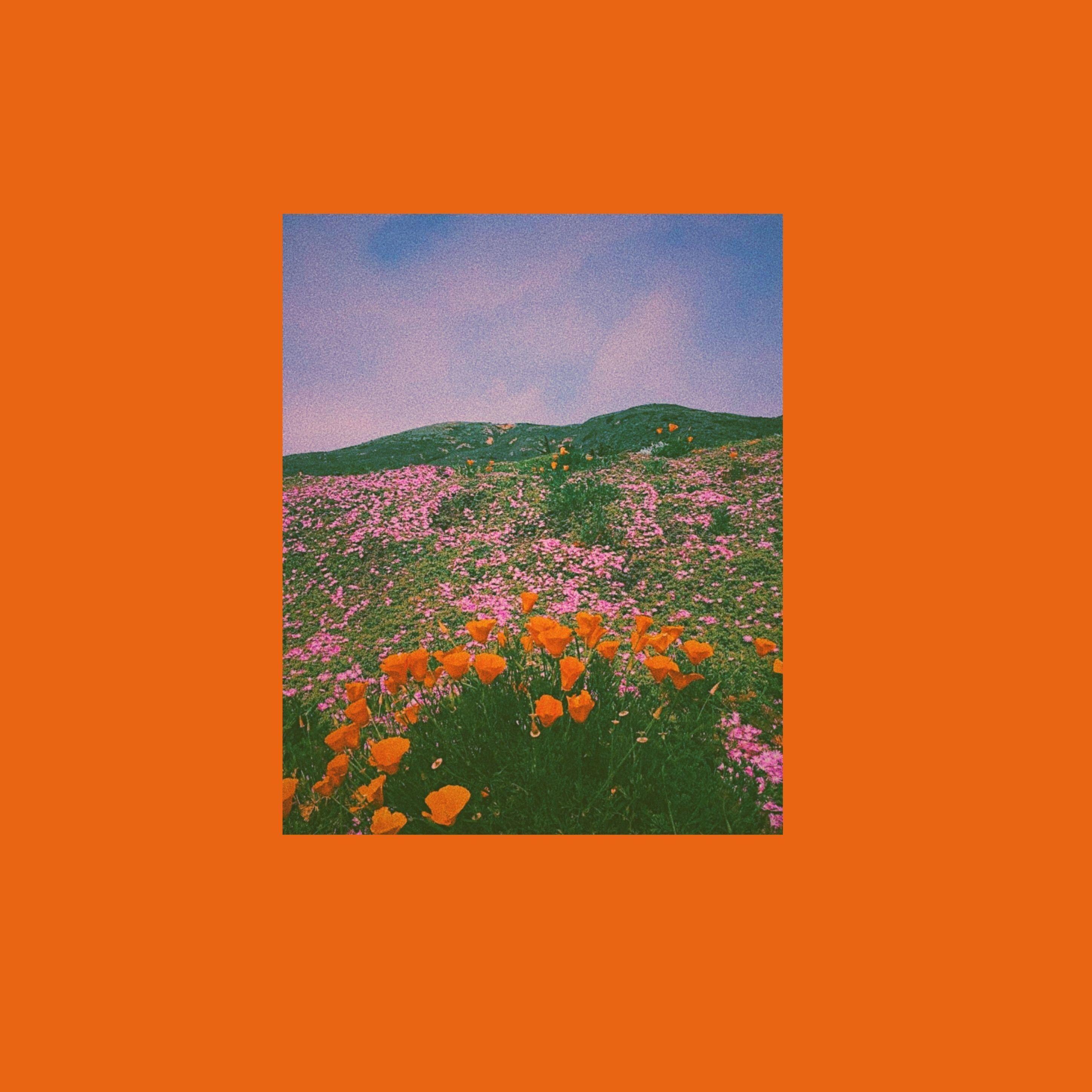 2896x2896 Artsy Aesthetic Wallpaper .line.