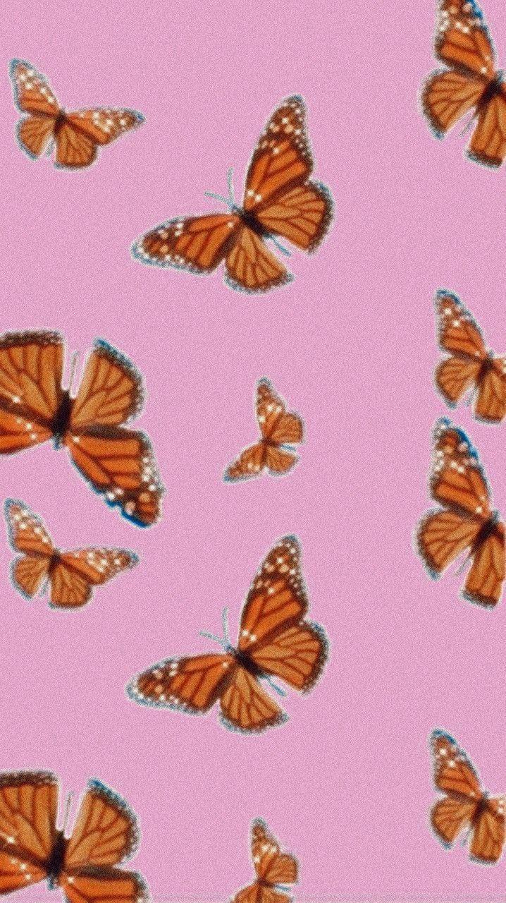 718x1280 Butterfly wallpaper iphone, Aesthetic .monorage0006.blob.core.