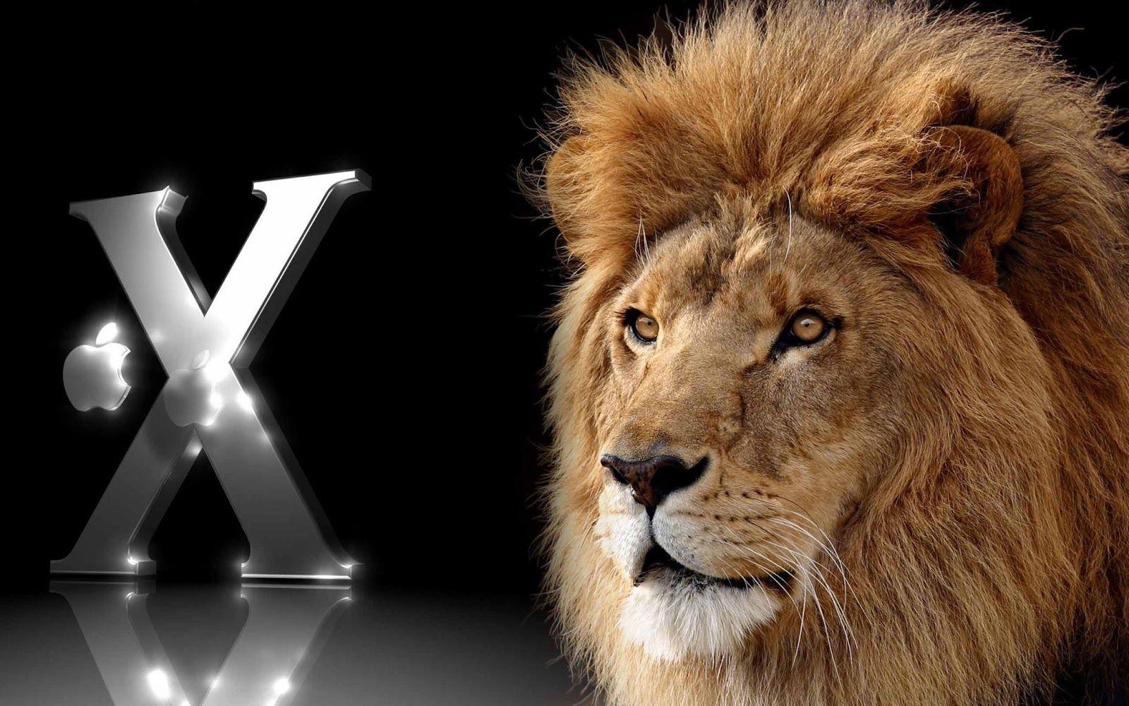 1600x1000 Mac os x Mountain lion Galaxy Desktop .prime.