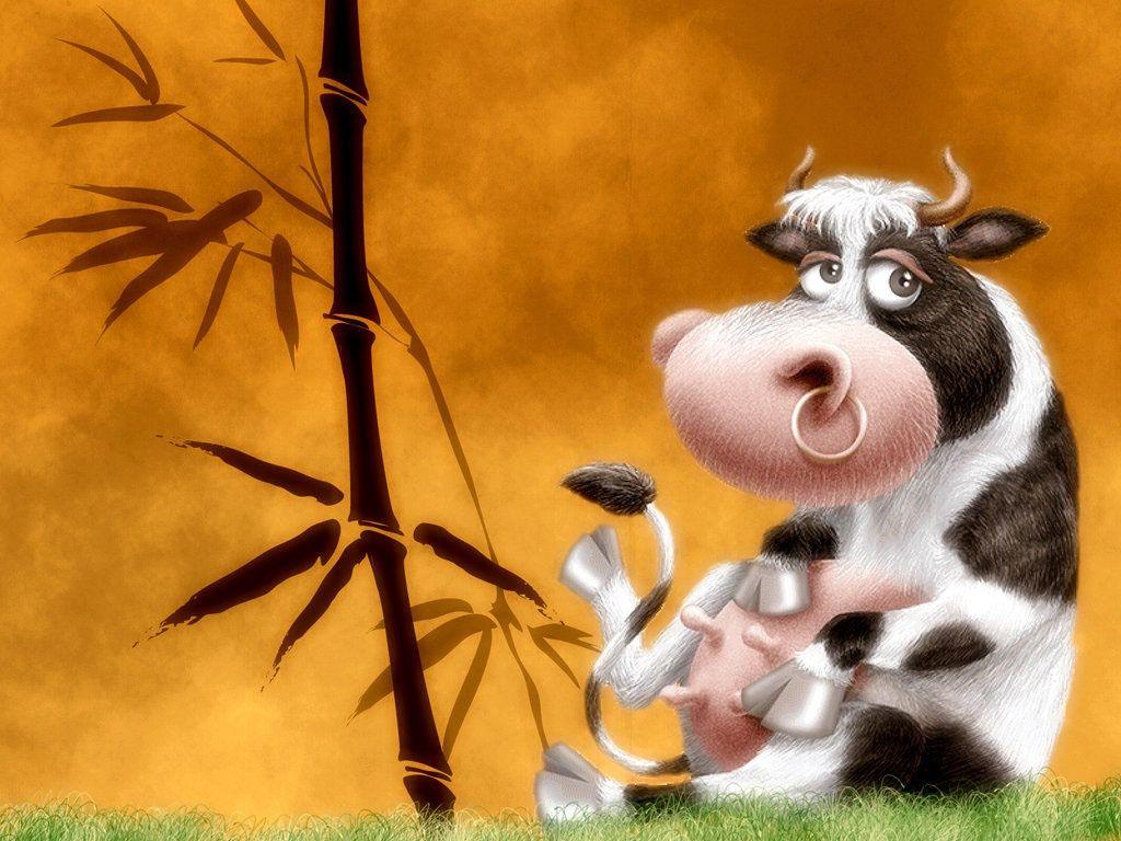 1024x768 Funny Cow Wallpaper, Cow Wallpaper .