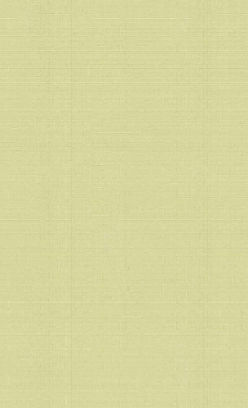800x1313 Minimalist Olive Green Wallpaper C7287 .wallsrepublic.com · In stock