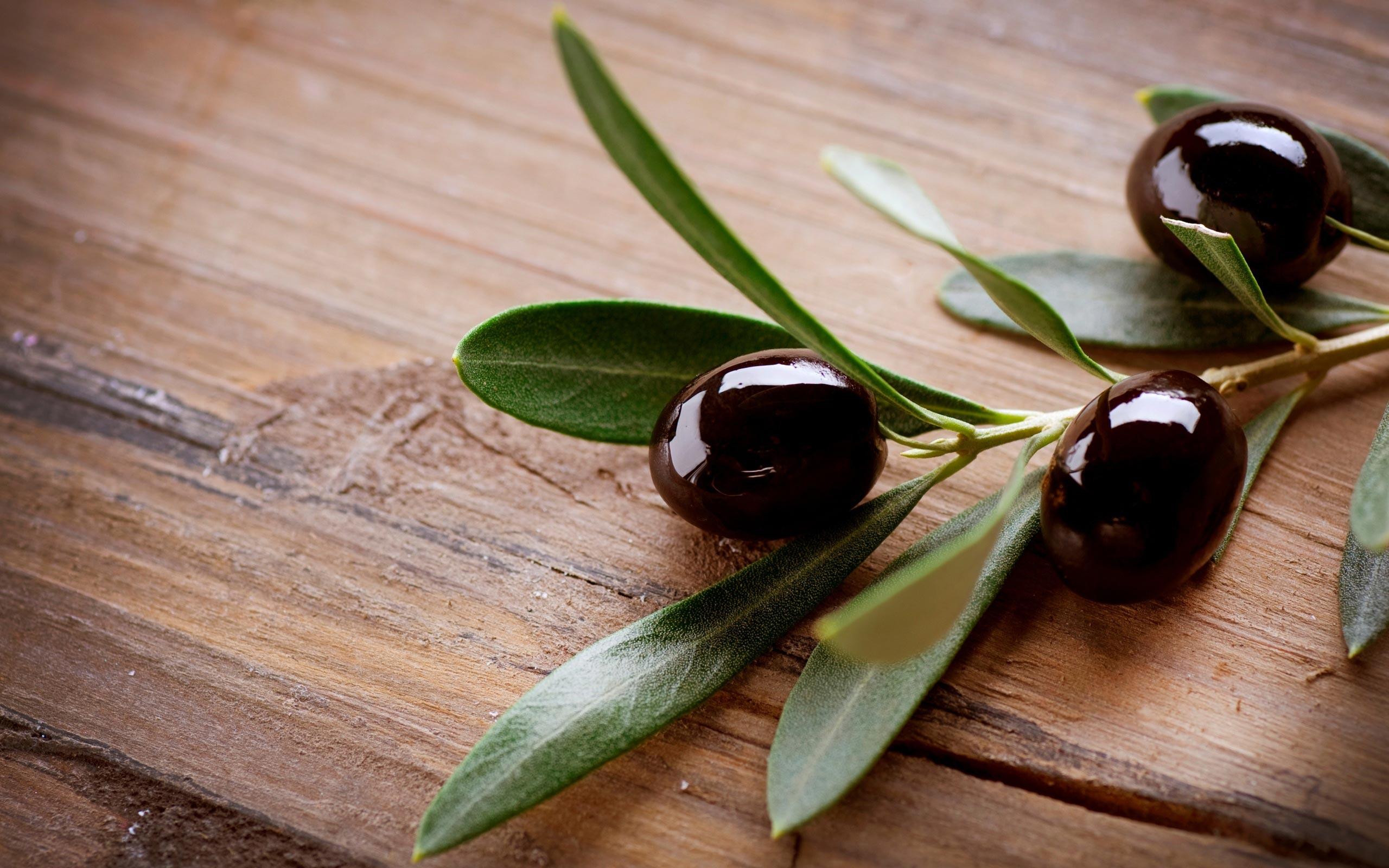 2560x1600 Olive Wallpaper on .