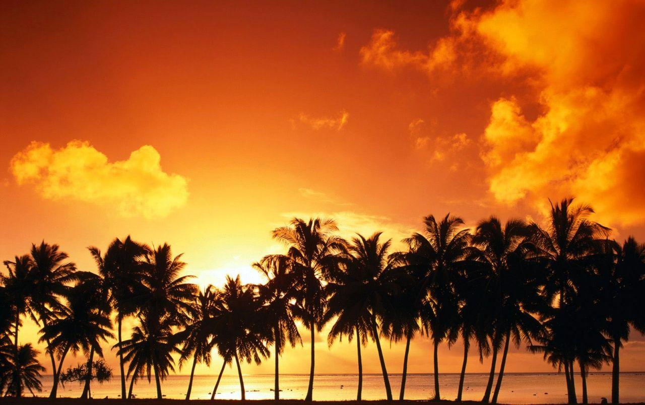 1280x804 Amazing sunset wallpaper. Amazing .