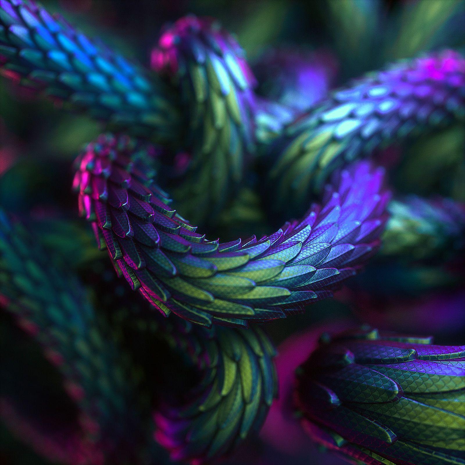 1600x1600 Oil slick scales, Luca Martinelli on .dk