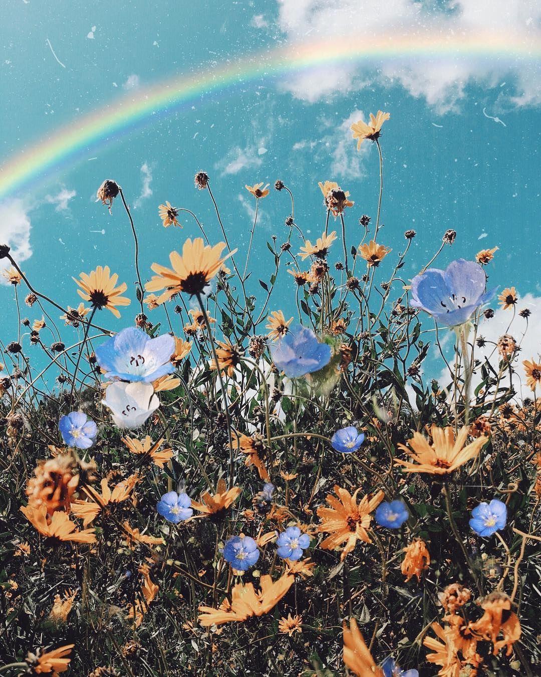 Wild Aesthetic Wallpapers Top Free Wild Aesthetic Backgrounds