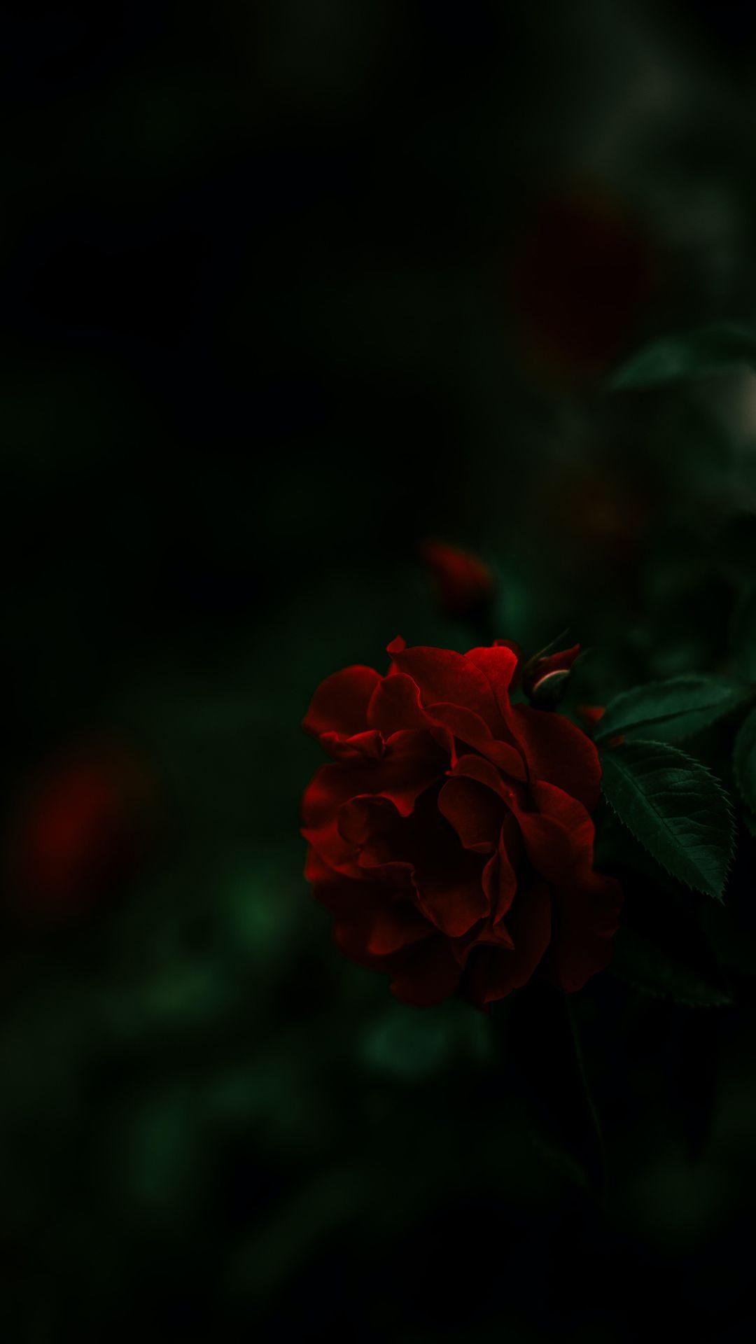 1080x1920 Dark Aesthetic Wallpaper Background .