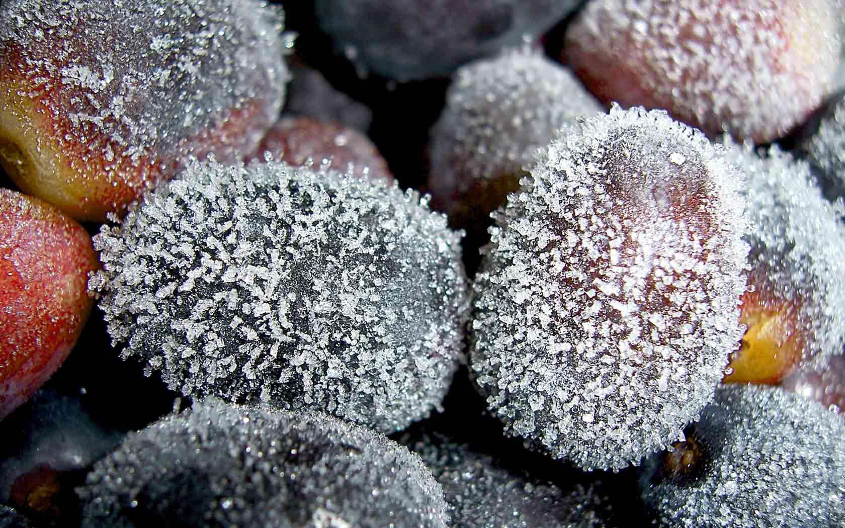 1680x1050 Frozen grapes wallpaper. Frozen .