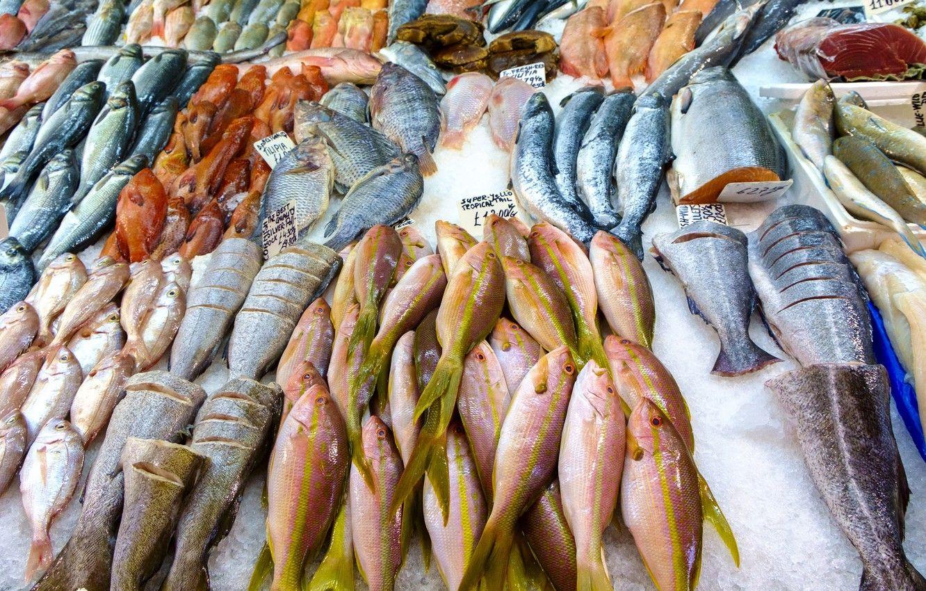 1332x850 Wallpaper Fish, fish, variety, frozen .