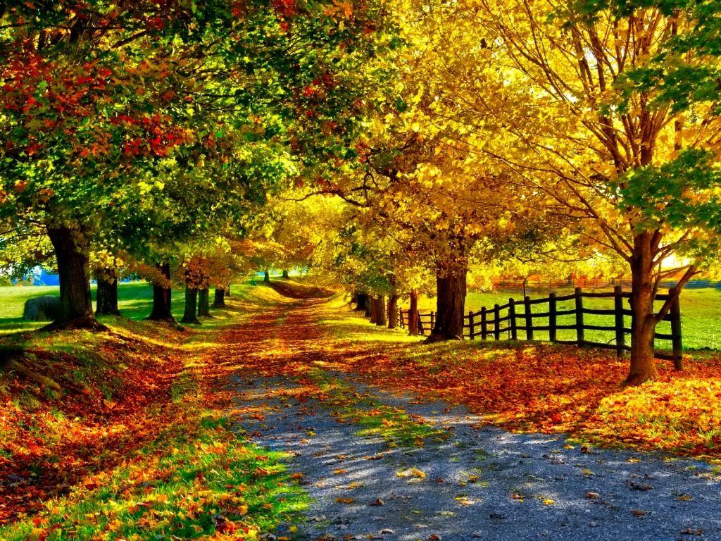 1024x768 Fall