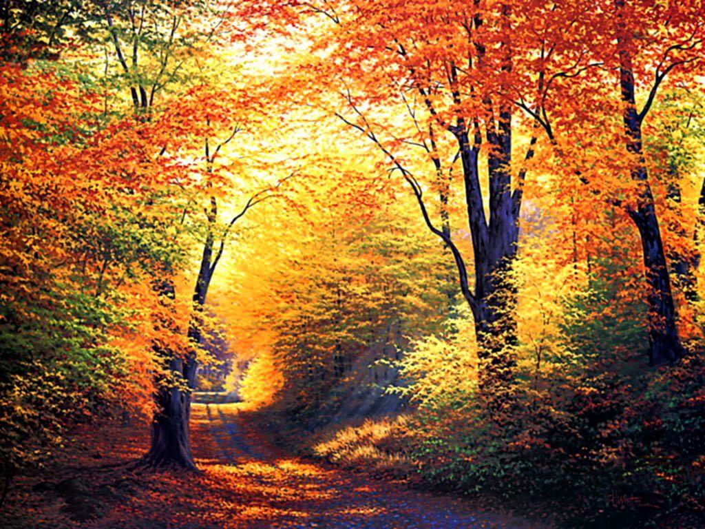 1024x768 Free Autumn