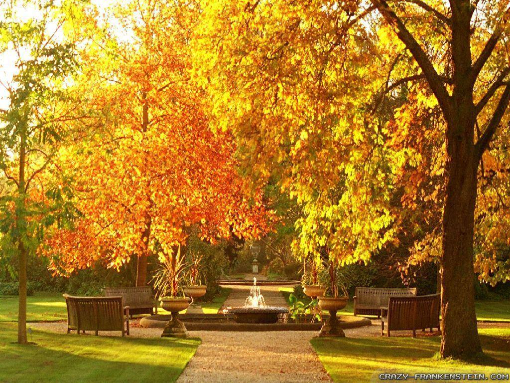 1024x768 Sombre Autumn Scenes Wallpaper .