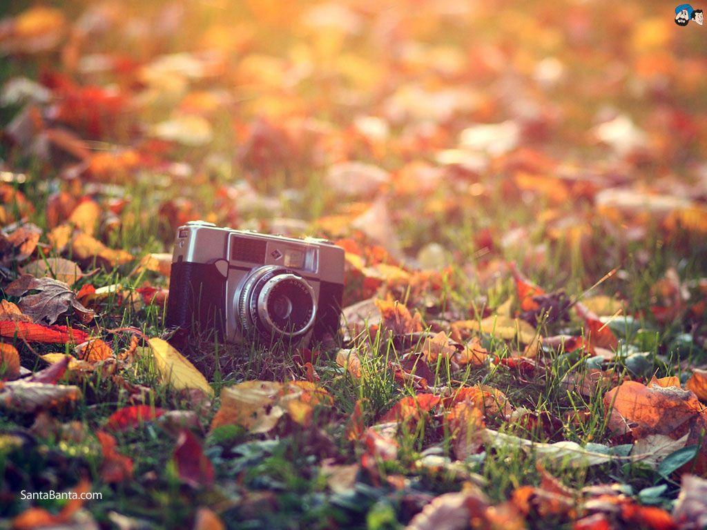1024x768 Autumn Background Wallpaper Desktop .7