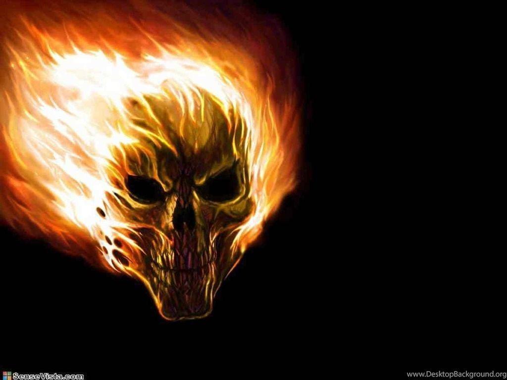 1024x768 Wallpaper Skulls Fire Skull Top Free For 1024x768 Desktop Background