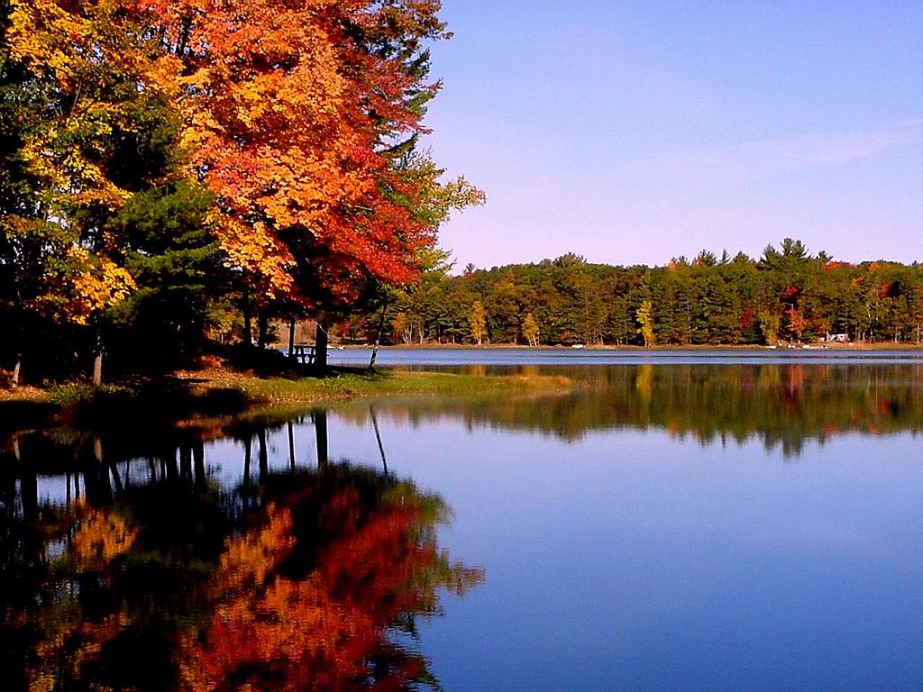 1024x768 Free Autumn