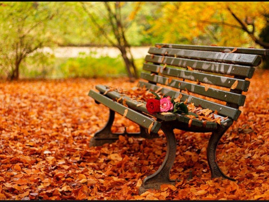1024x768 Autumn Background Wallpaper -