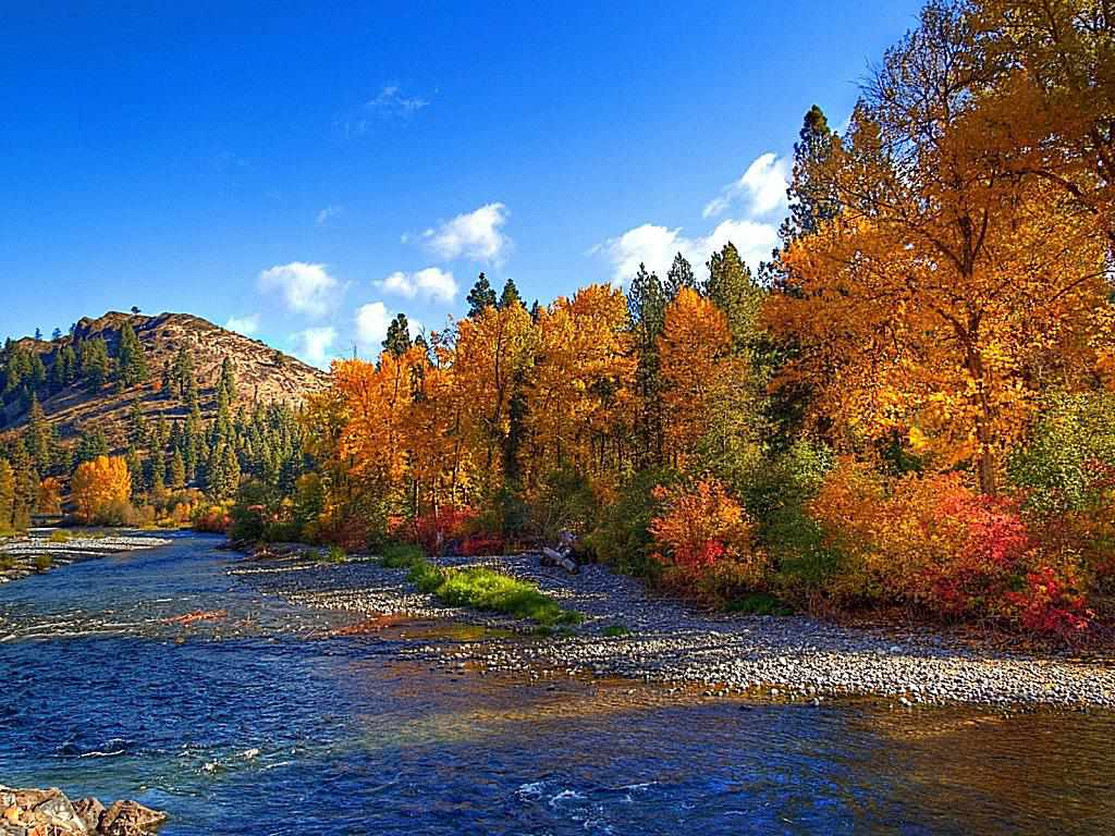 1024x768 Early Autumn