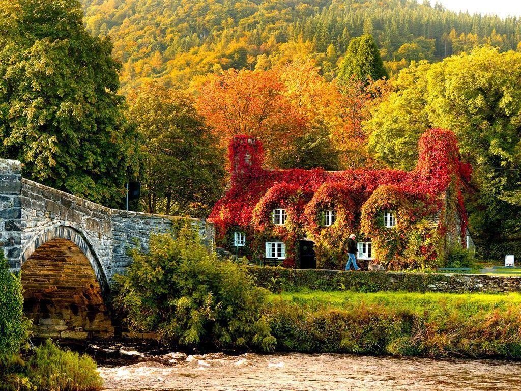 1024x768 Autumn in Ireland Wallpaper on .wallpaper.dog