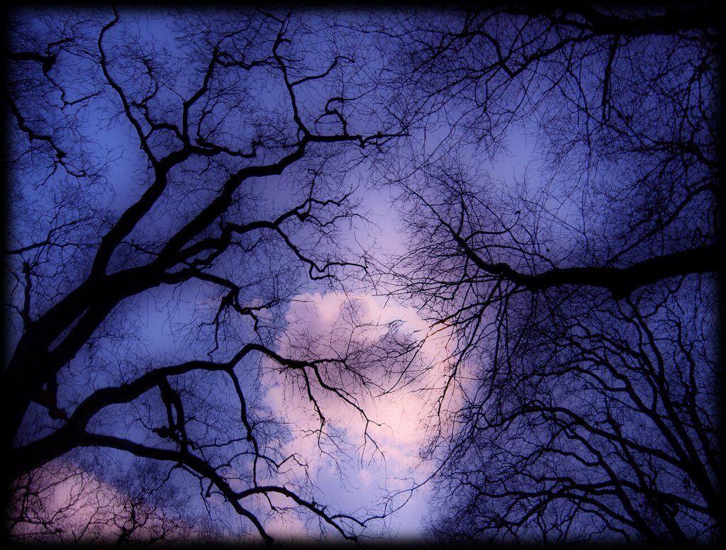 1024x776 Pagan Wallpaper