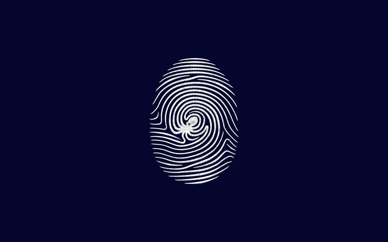 1280x800 octopus fingerprints 1280x800 wallpaper .