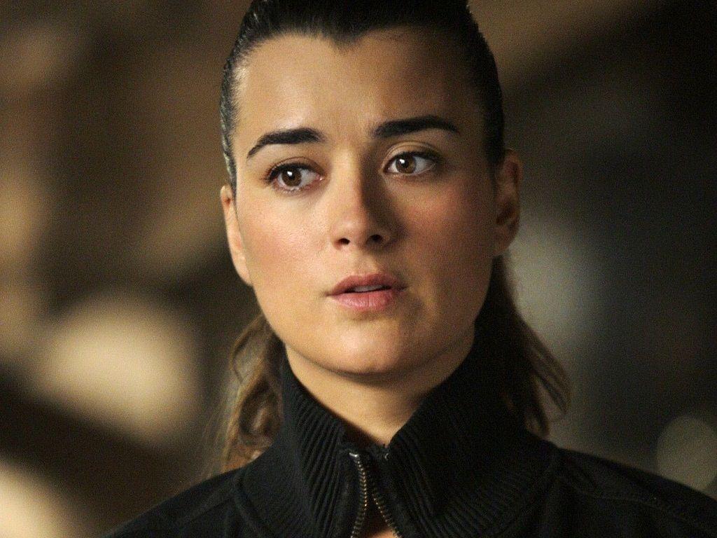1024x768 image about ziva david / ncis / cote de pablo