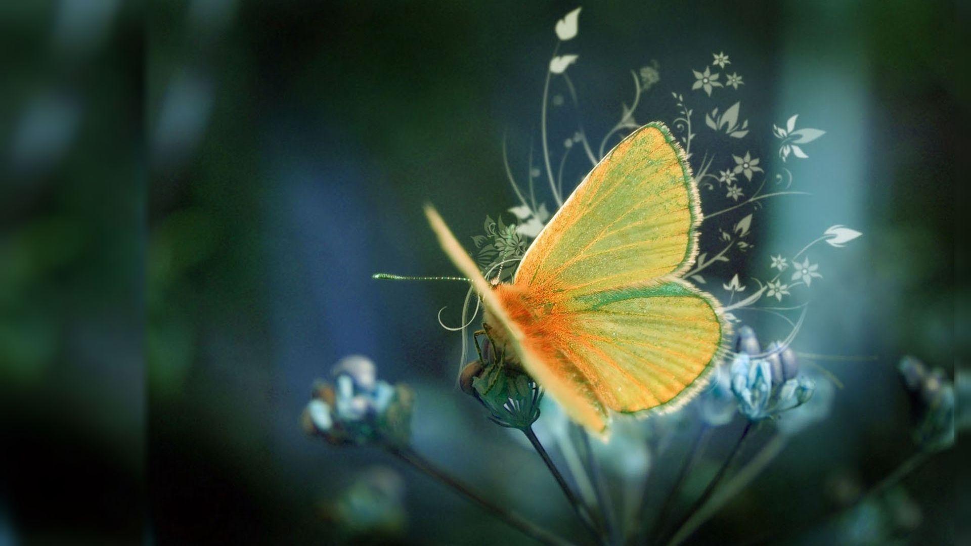 1920x1080 Background wallpaper HD nice 1080
