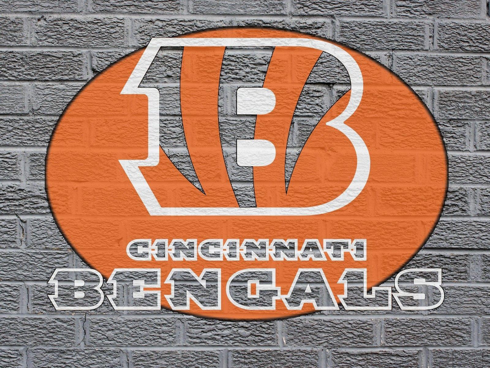 1600x1200 NFL Cincinnati Bengals Logo On Grey .