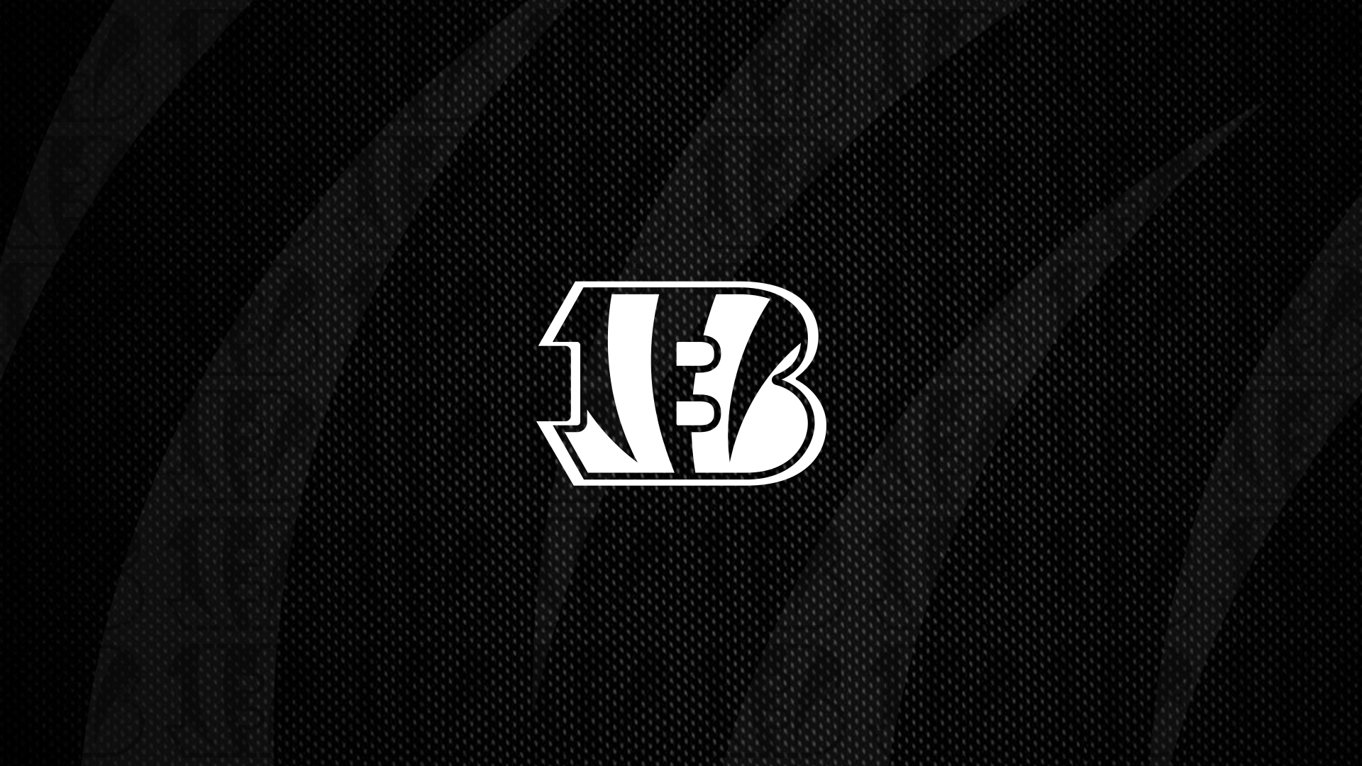 1920x1080 Cincinnati Bengals Fans .