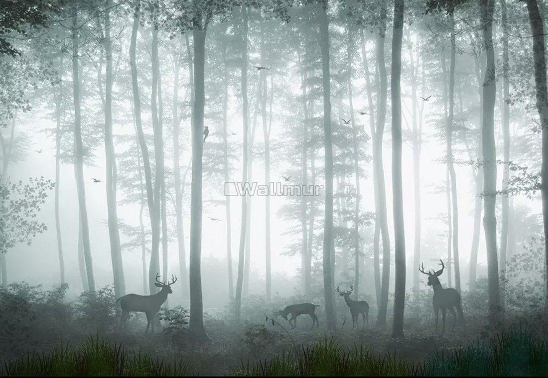 1100x759 Misty Forest HD .