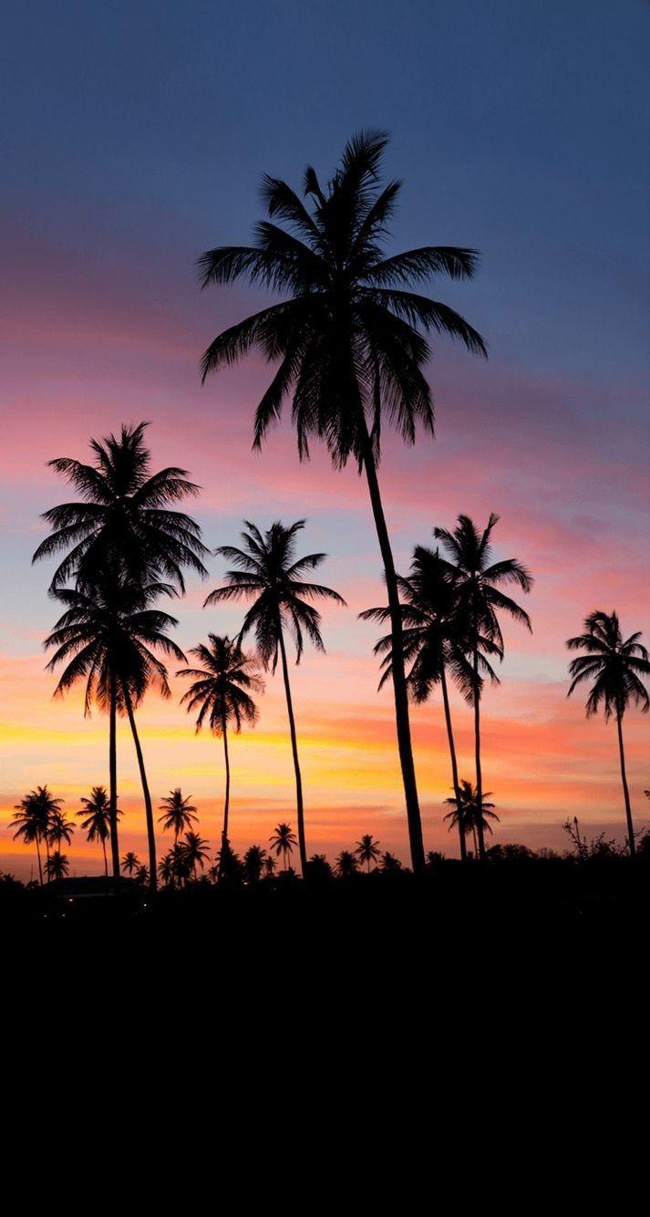 713x1334 Malibu California Sunset Wallpaper