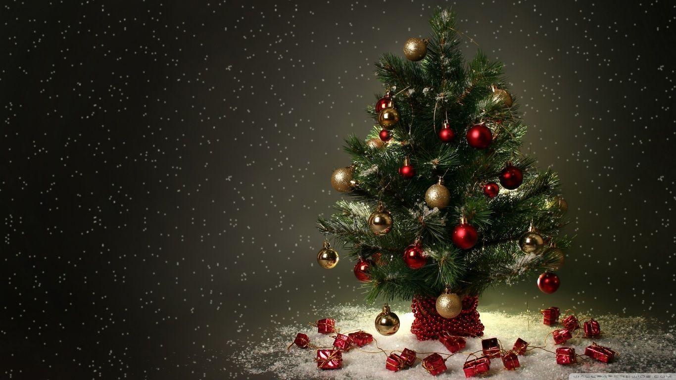 1366x768 Xmas Tree HD Wallpaper Group Wallpaper