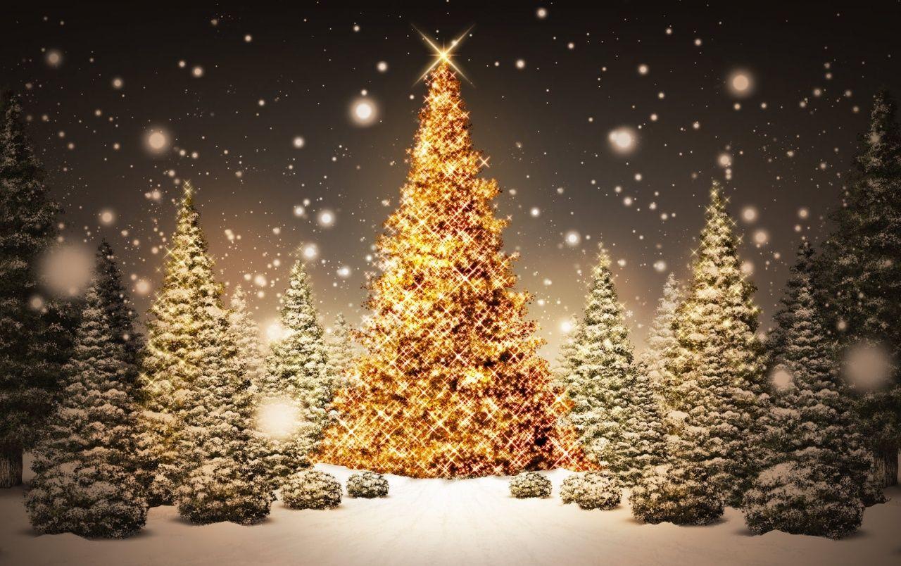 1280x804 Christmas Tree wallpaper. Christmas .