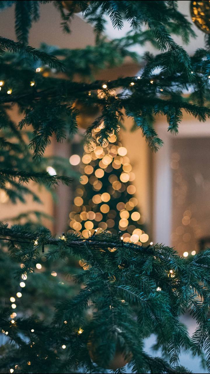 720x1280 4k Xmas Tree wallpaper by CozyPac .