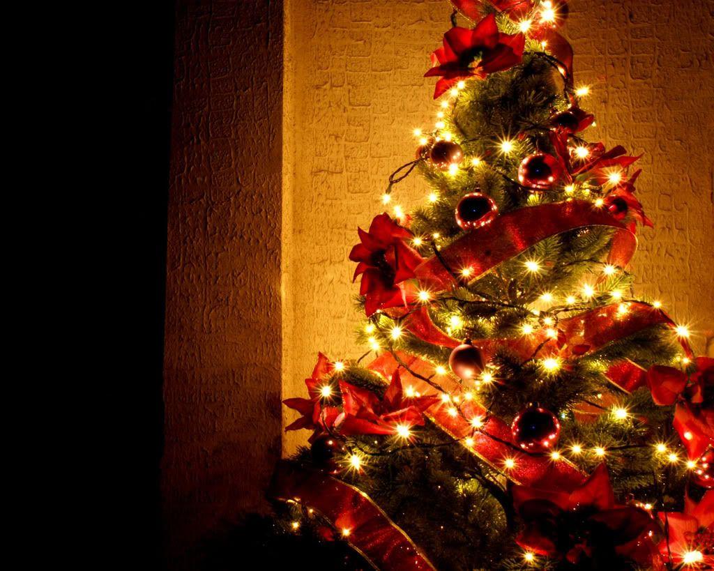 1024x819 Beautiful Christmas Tree Wallpaper .